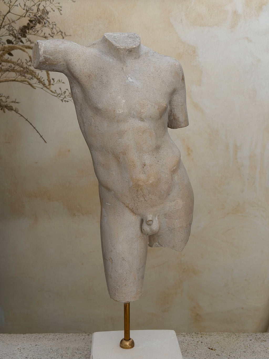 Torso of a Youth