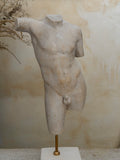 Torso of a Youth